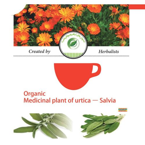 دمنوش گیاهی ارتیکا - سالویا (درمان کم خونی و آرتروز)